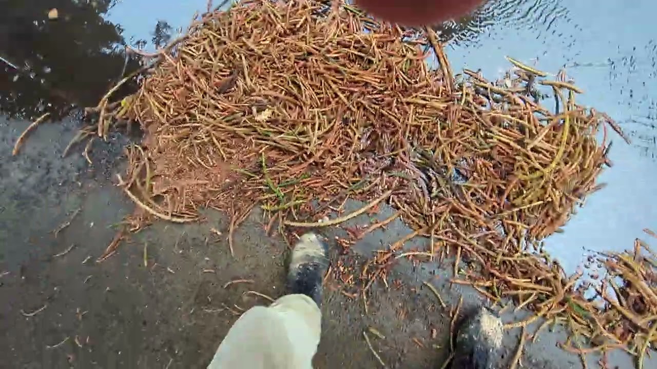 Blocked drain clearing