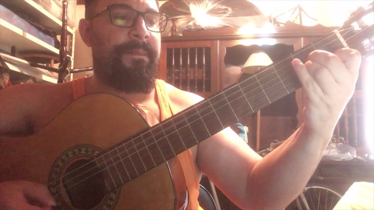 O Que É, O Que É - Gonzaguinha - Violão (Willy Seifert) 