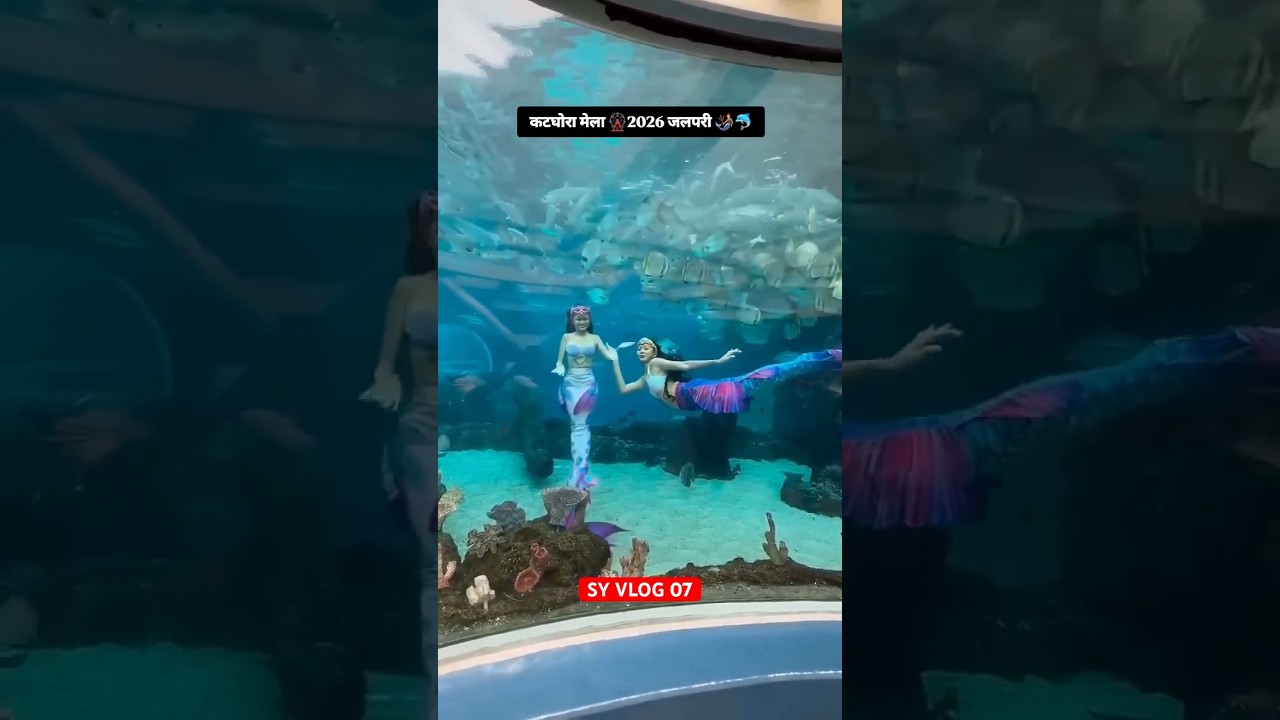 कटघोरा मेला 2026 | Katghora mela 2026 #katghora #जलपरी #mela #viral