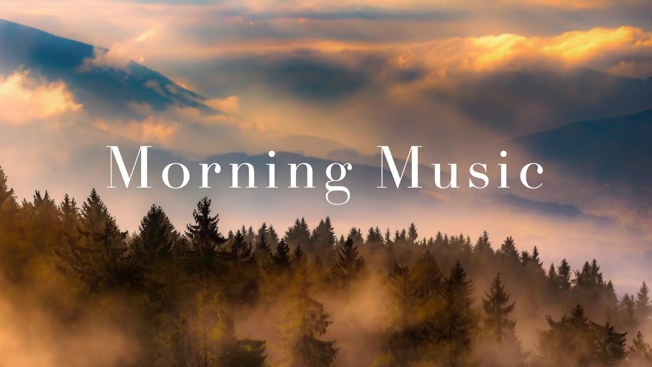 Relaxing Guitar Playlist | Work Study Read | Misty Morning