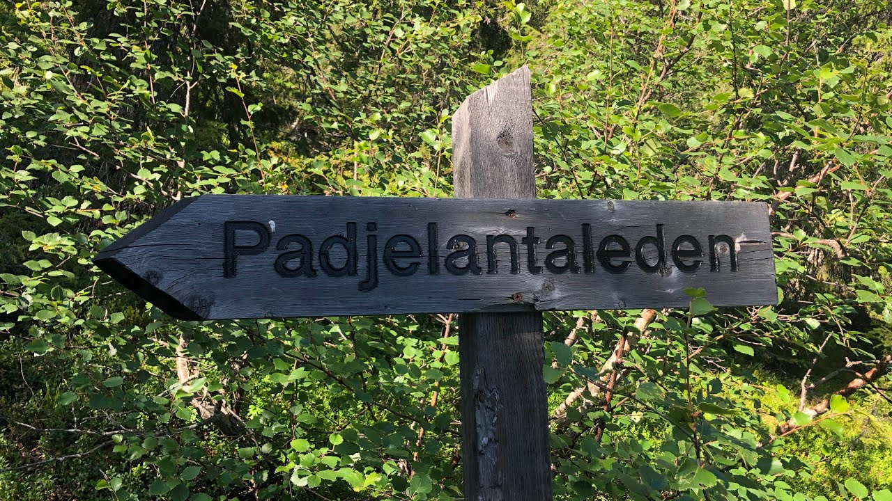 The Padjelanta Trail 2020 - Part 1: from Kvikkjokk