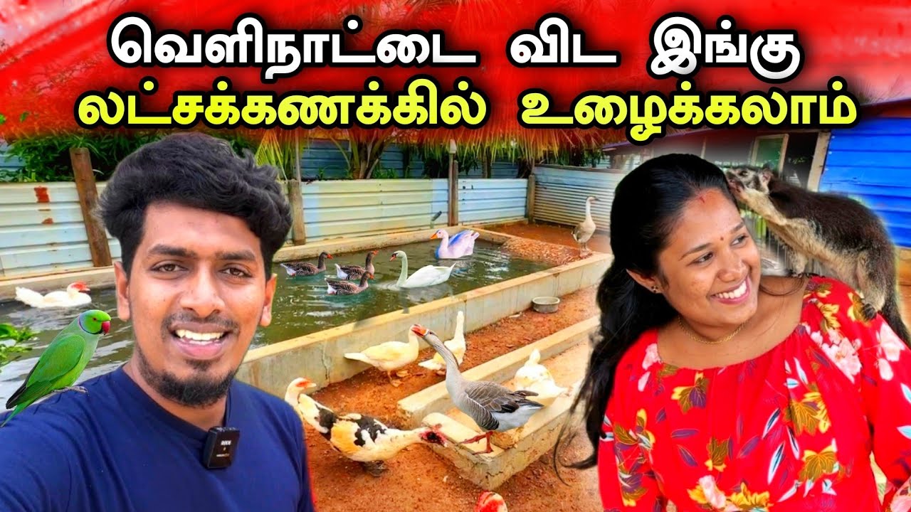 லட்சம் ரூபாய் லாபம் தரும் மிகப் பெரிய ஒருங்கிணைந்த பண்ணை 😮😍🐓 | Biggest Integrated Farm In Jaffna 🐄