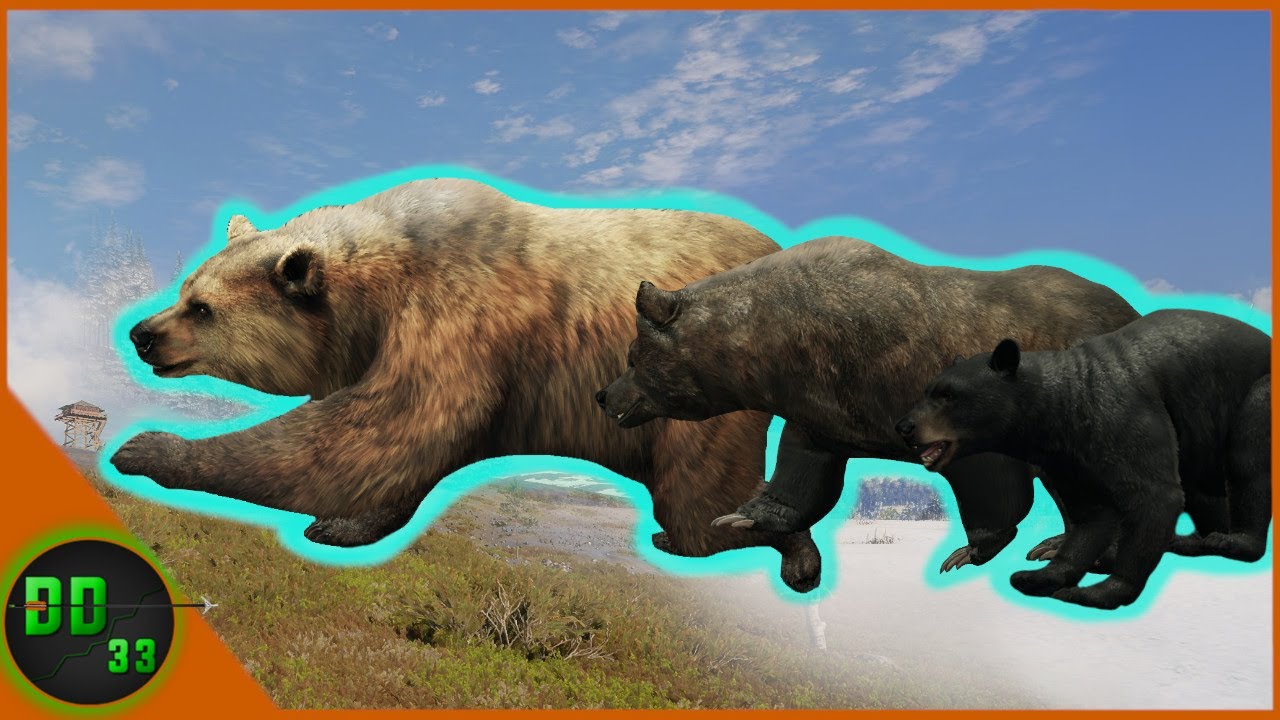 Hunting Every Bear Species in Call Of The Wild!