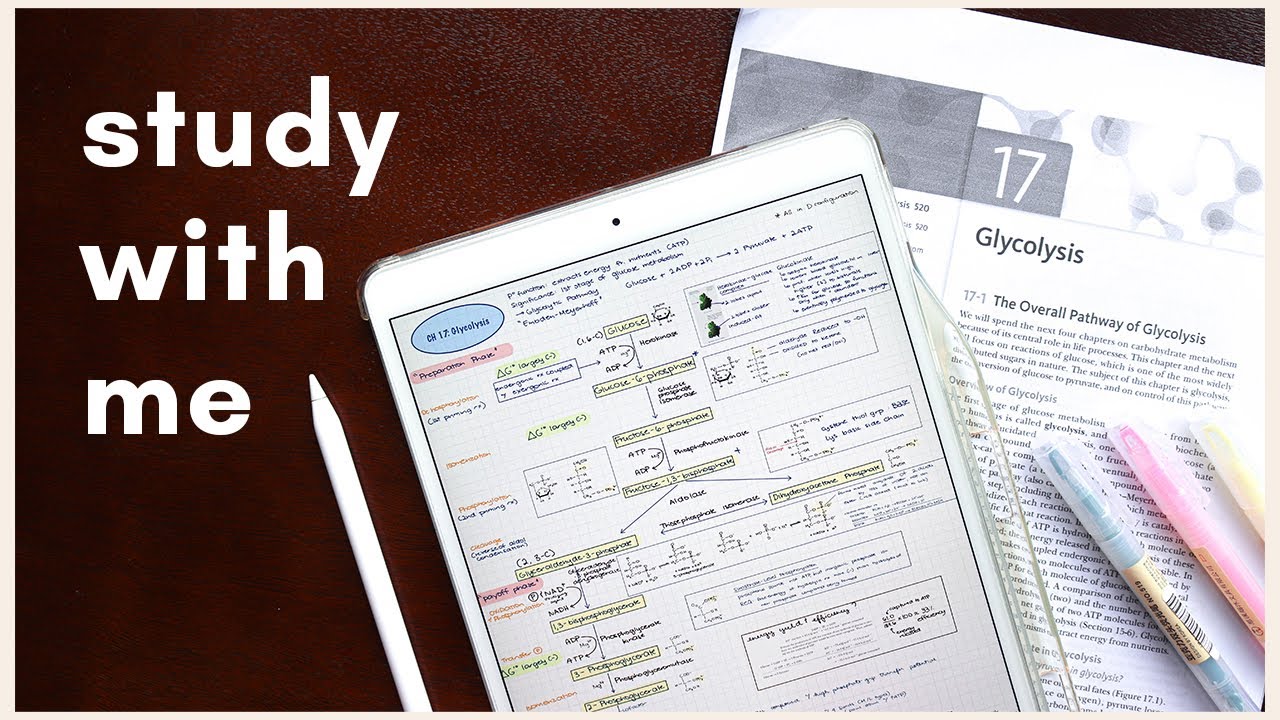 Study With Me ✨ Biochemistry (philippines) l heyitsbey