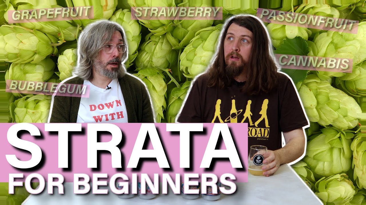 What is the Strata hop and what does it do?
