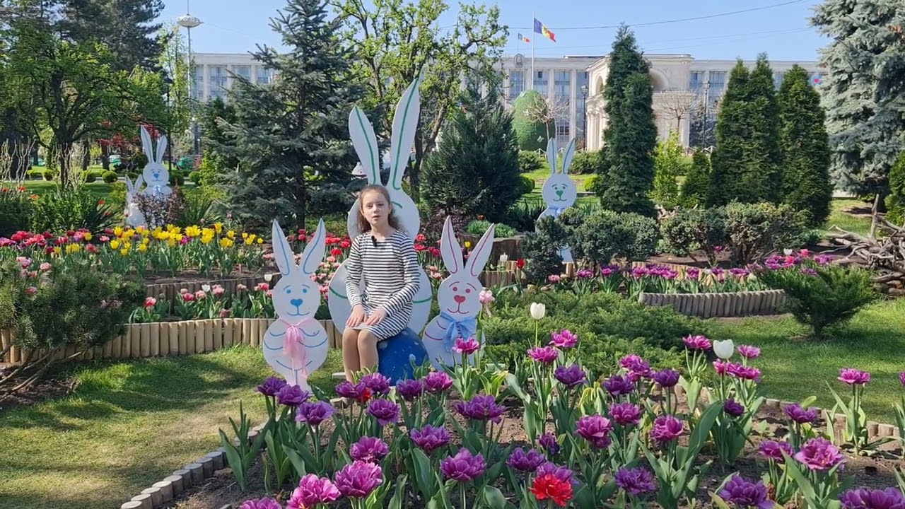 Anastasia Ursu - Vizitatori in Propria Tara (Vali Slavu)