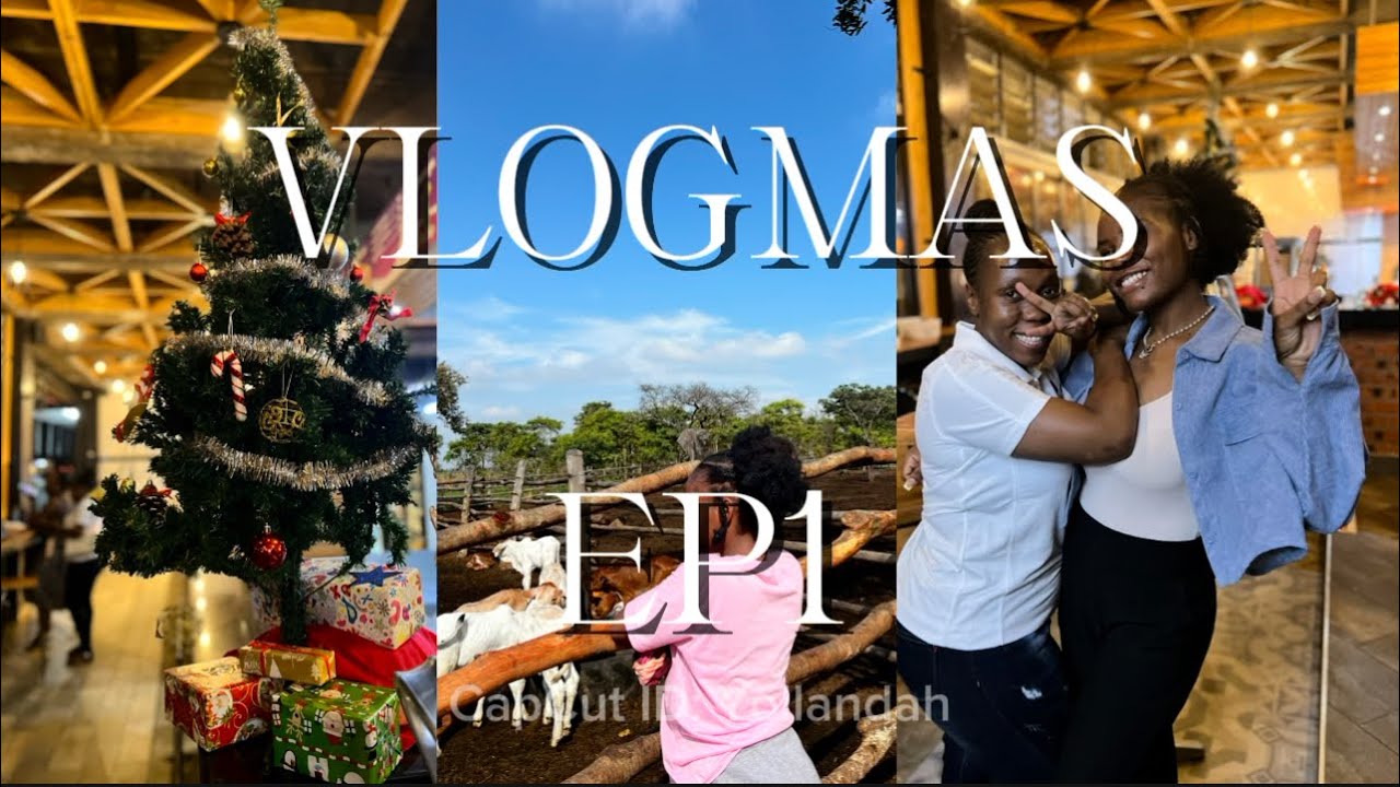 Vlogmas: 🎄 Ep1/ Random Days at Work, Spending Time with a Friend and Going to the Farm💃🏽💐 