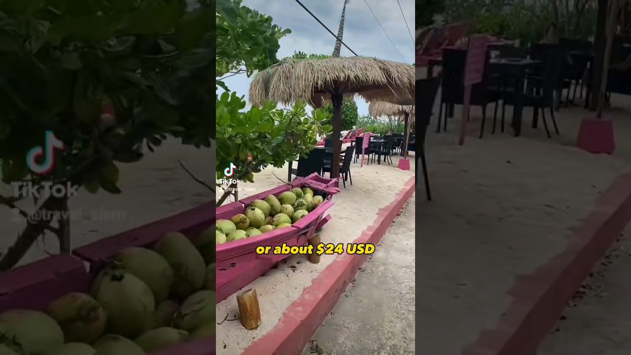 Avoid these scams while visiting the Gili Islands on Bali #giliair #bali #gili #indonesia #island