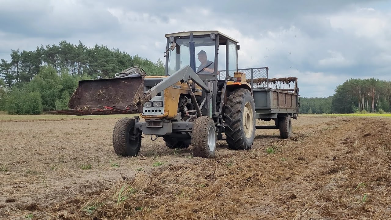 Prace Pożniwne 2024|Ursus c360 3p
