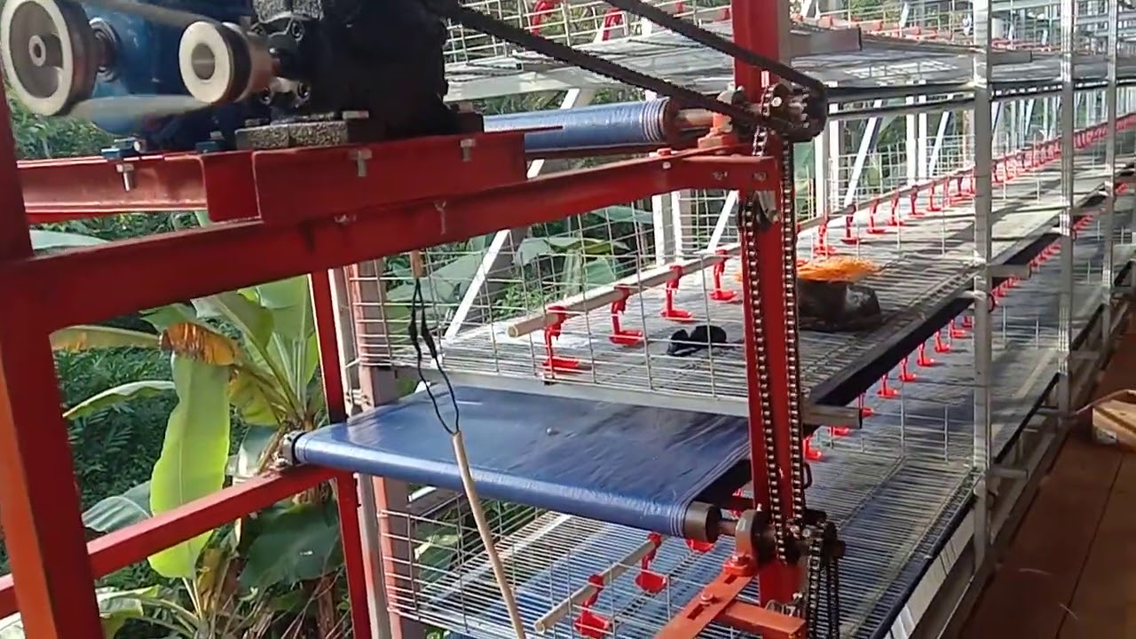 Test kandang koloni ndeso