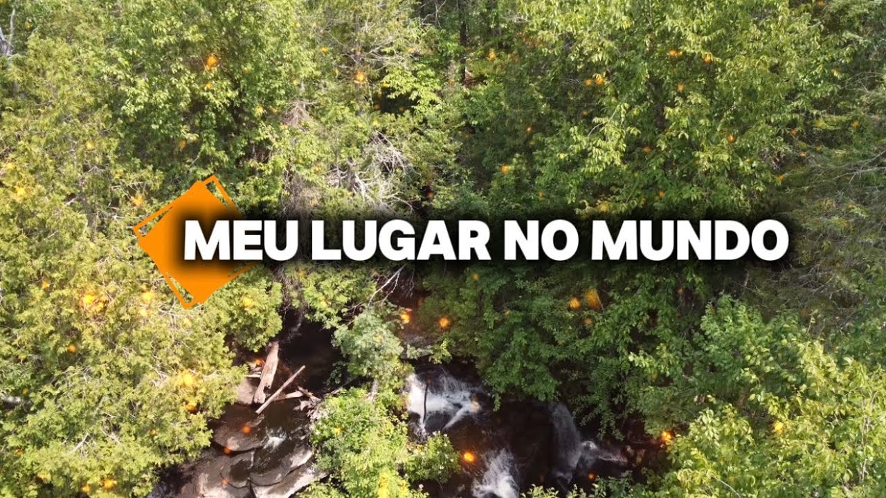 MEU LUGAR NO MUNDO | Dueto Acústico (Releitura Cover) | TEMA JA 2026