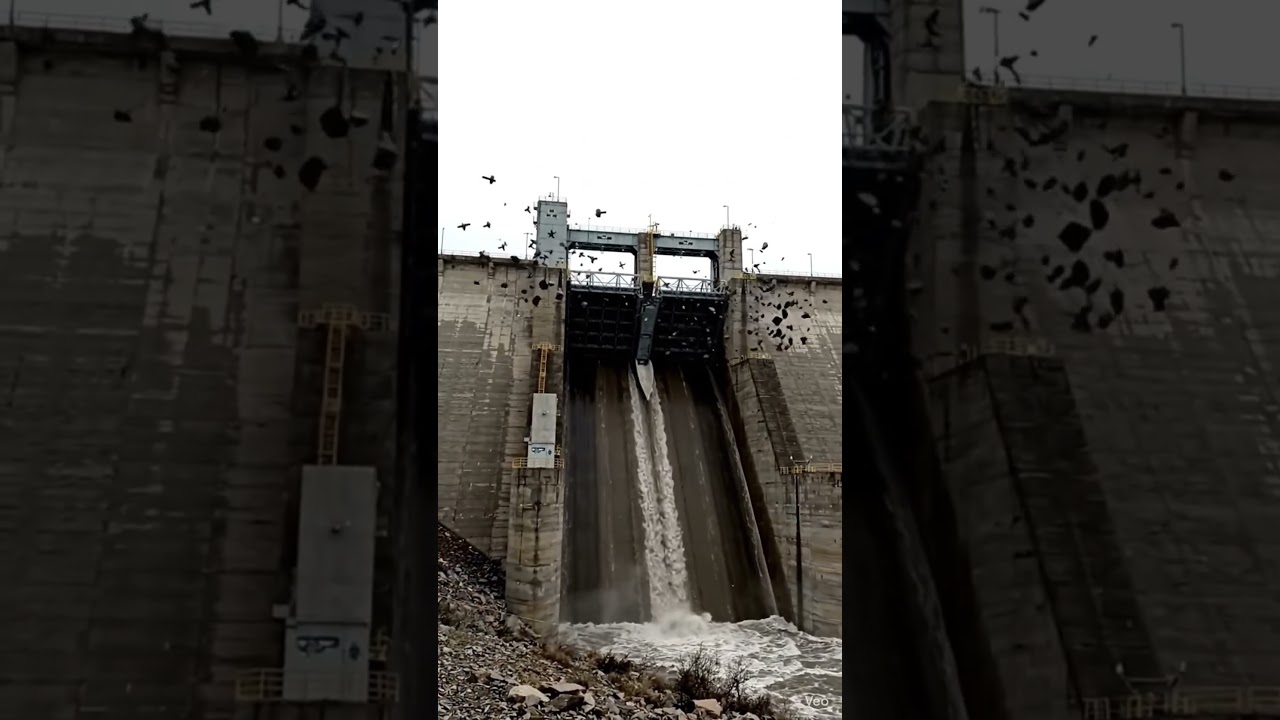The engineers said it could hold. The water disagreed