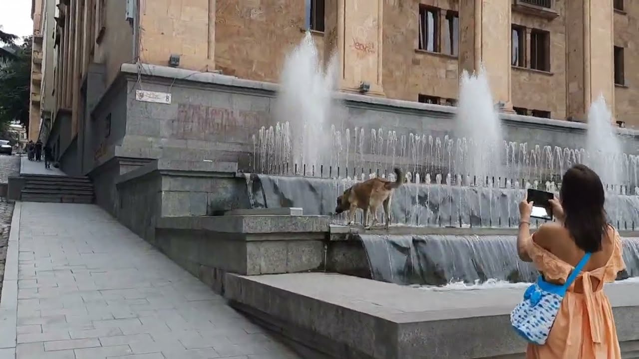 Georgia Tbilisi City Center Walking Tour 2023 | City Walks