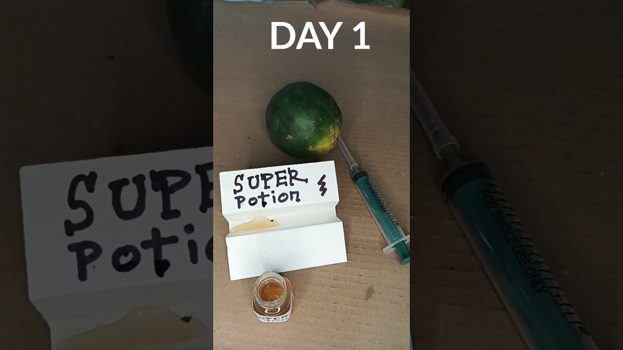 Fake Experiment Exposed - Watermelon Injection Trick