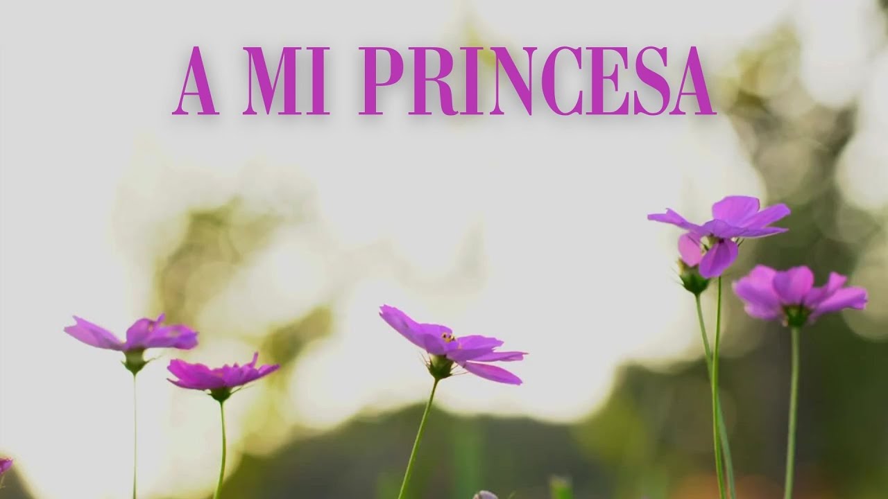 A Mi Princesa
