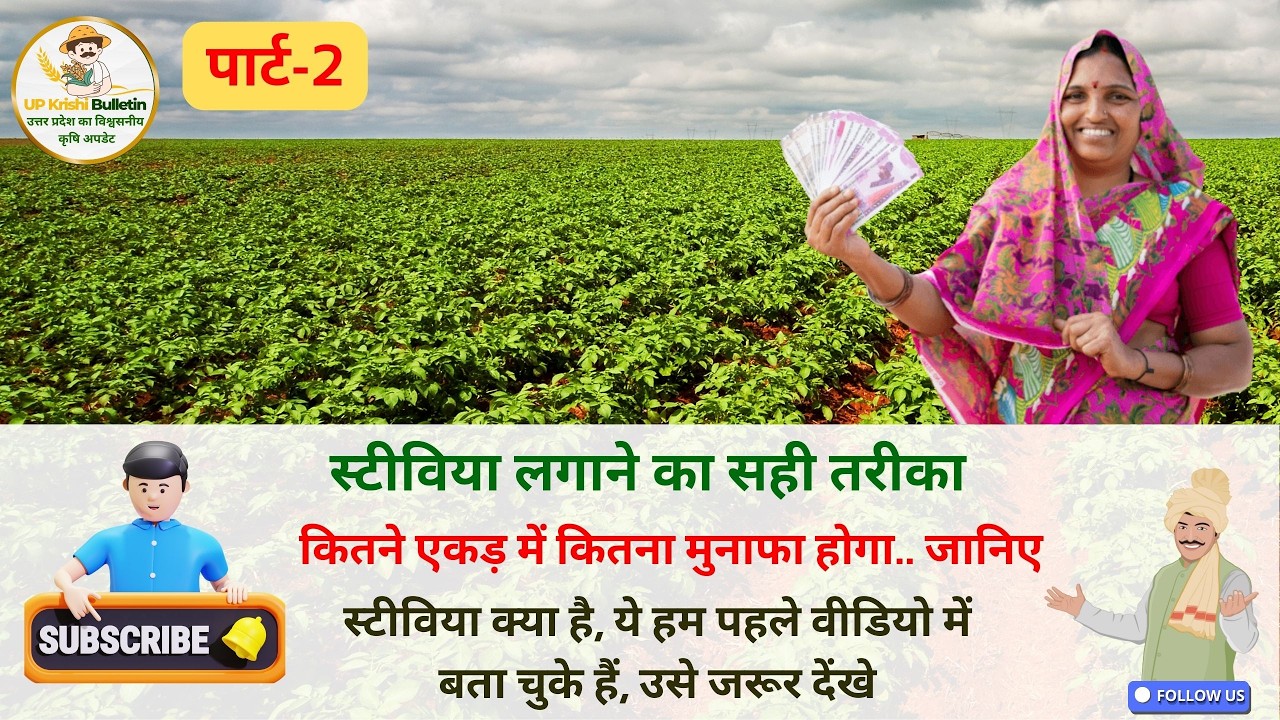 Stevia Farming in India | स्टीविया की खेती पूरी जानकारी + एक एकड़ मुनाफा