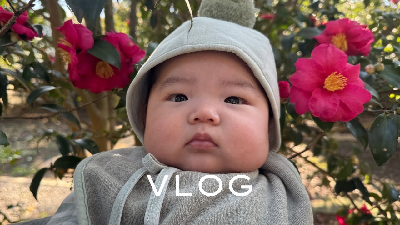 [육아vlog] 아기랑 제주살이 1탄 동백꽃도 보고 돌고래도 봤어요!