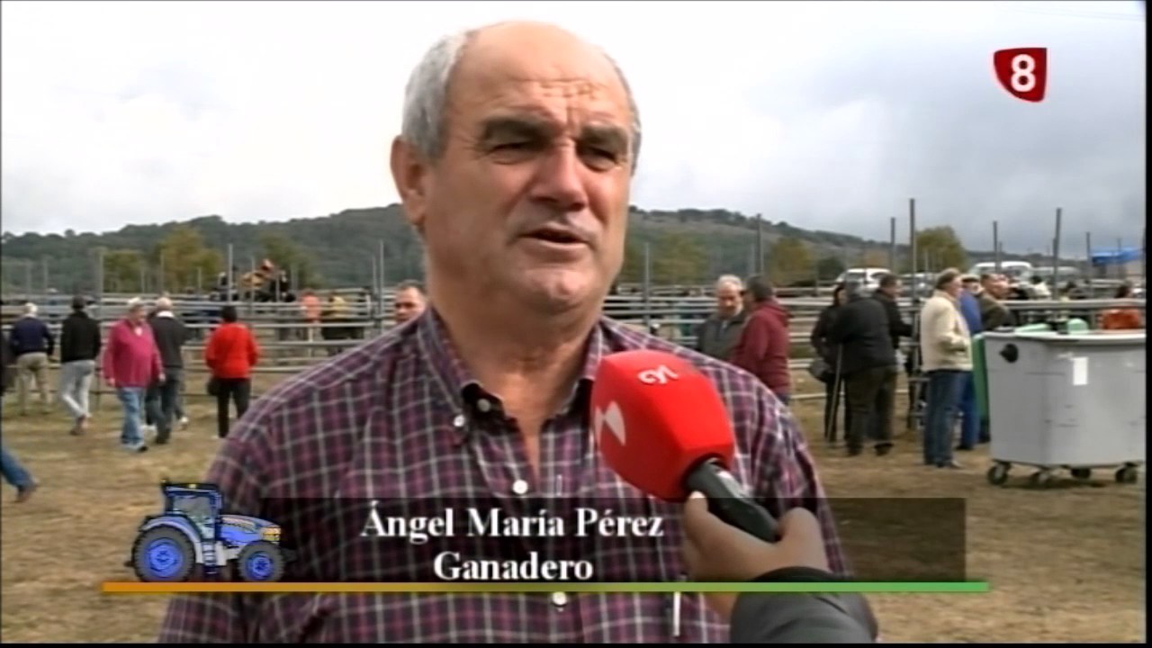 Feria del Caballo en Soncillo