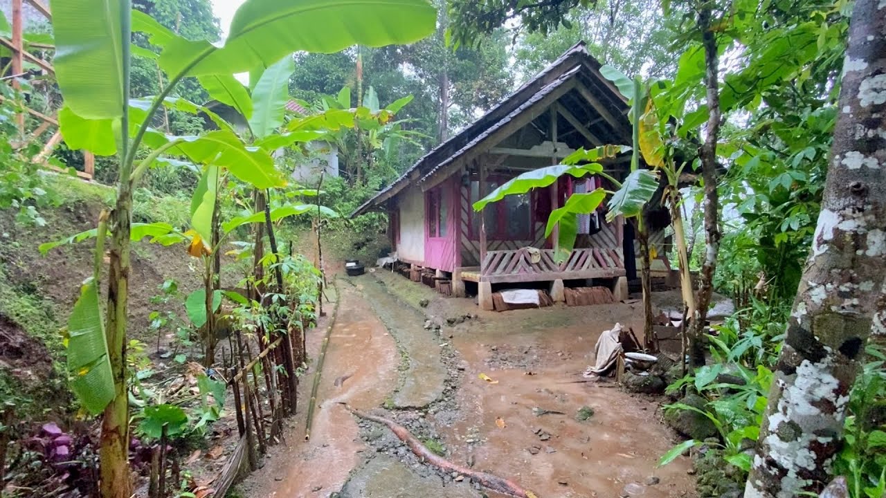 DIJAMIN BETAH😍 MENIKMATI HIDUP DI KAMPUNG YANG INDAH ALAM DESANYA, SUASANANYA ADEM, AYEM & TENTRAM