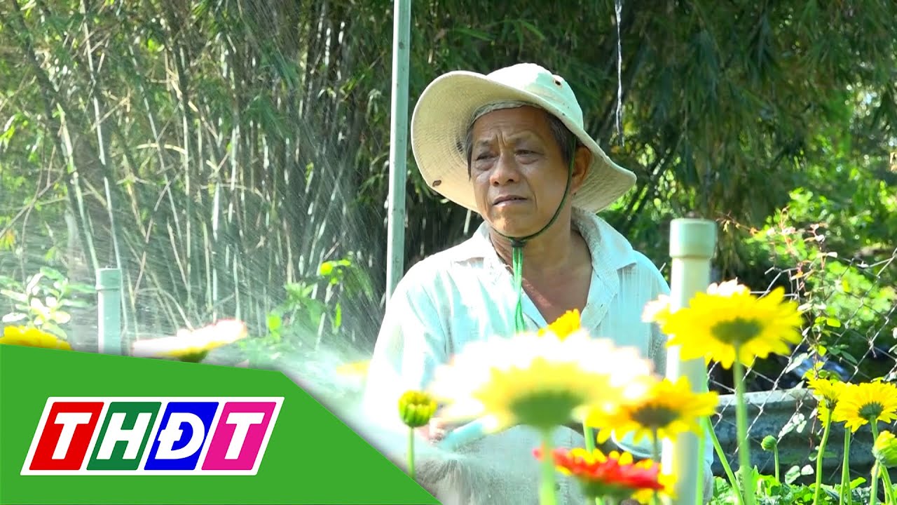Nông dân Làng hoa Sa Đéc rộn ràng cho vụ hoa Xuân 2026 | Lửa làng nghề - 8/10/2025 | THDT
