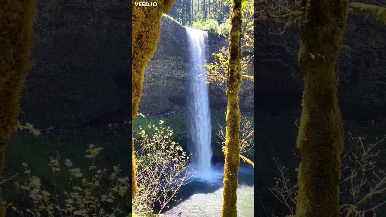Visit Indonesia #bali #shorts #shortsvideo #viral #visitbali #travel @Trips-Away Tourism