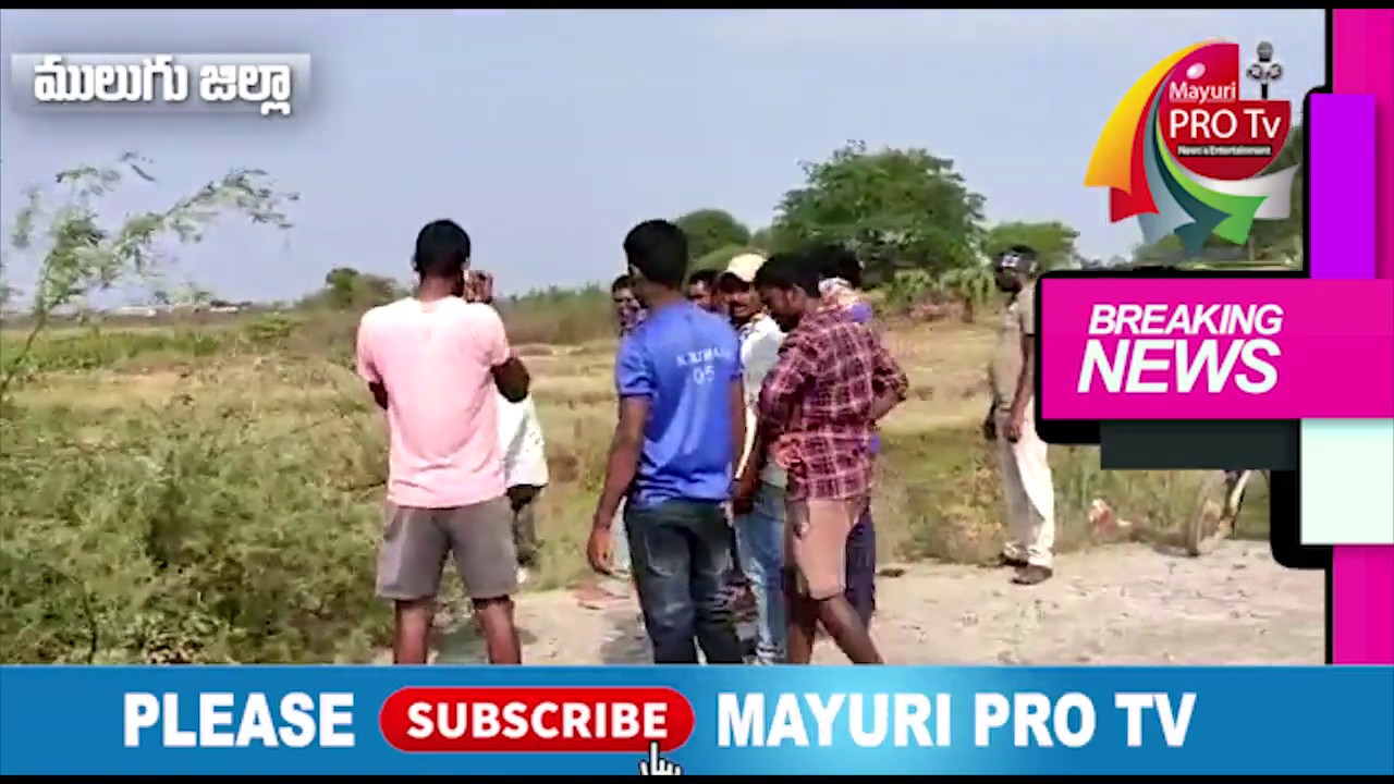 #CoronaWay కరోనా గ్రామ నిర్బంధం చేసిన గ్రామస్థులు | ములుగు జిల్లా | Mayuri Pro Tv