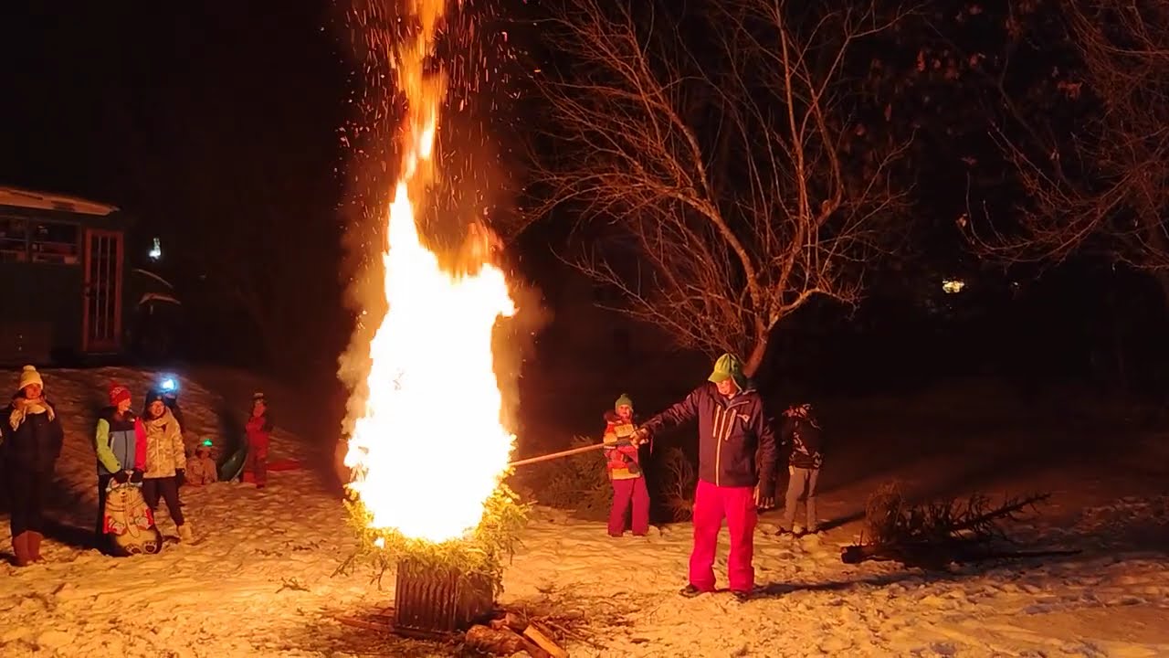 The McCrum Tree - Jan 25, 2025