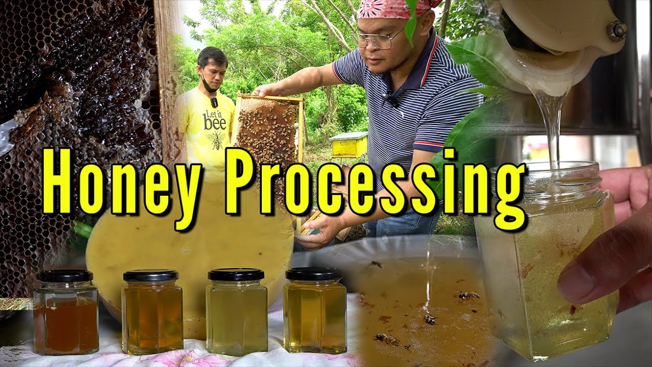 Honey Processing - Honey Cider - Bees Wax