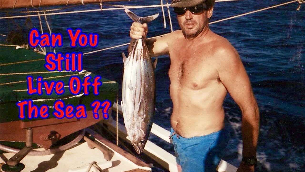 Can You Still Live Off The Sea??