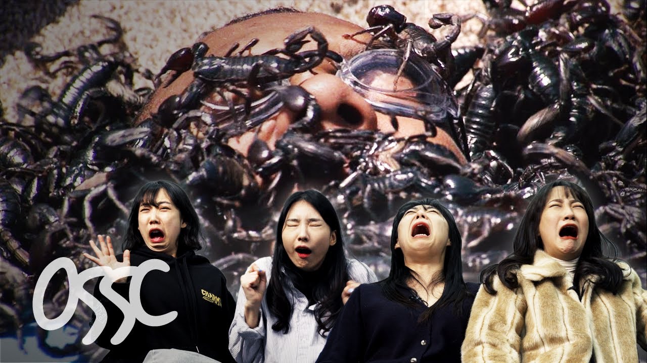 Koreans React To Most Insane American Reality Show