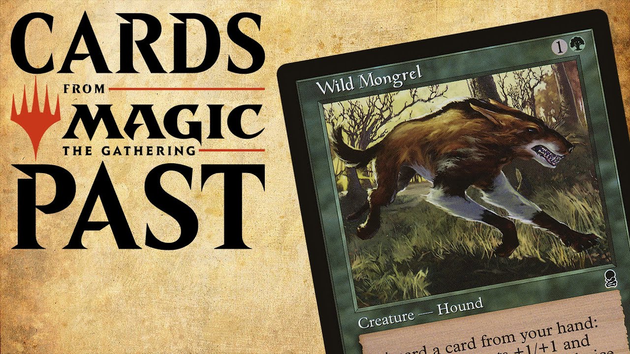 The Madness of Wild Mongrel