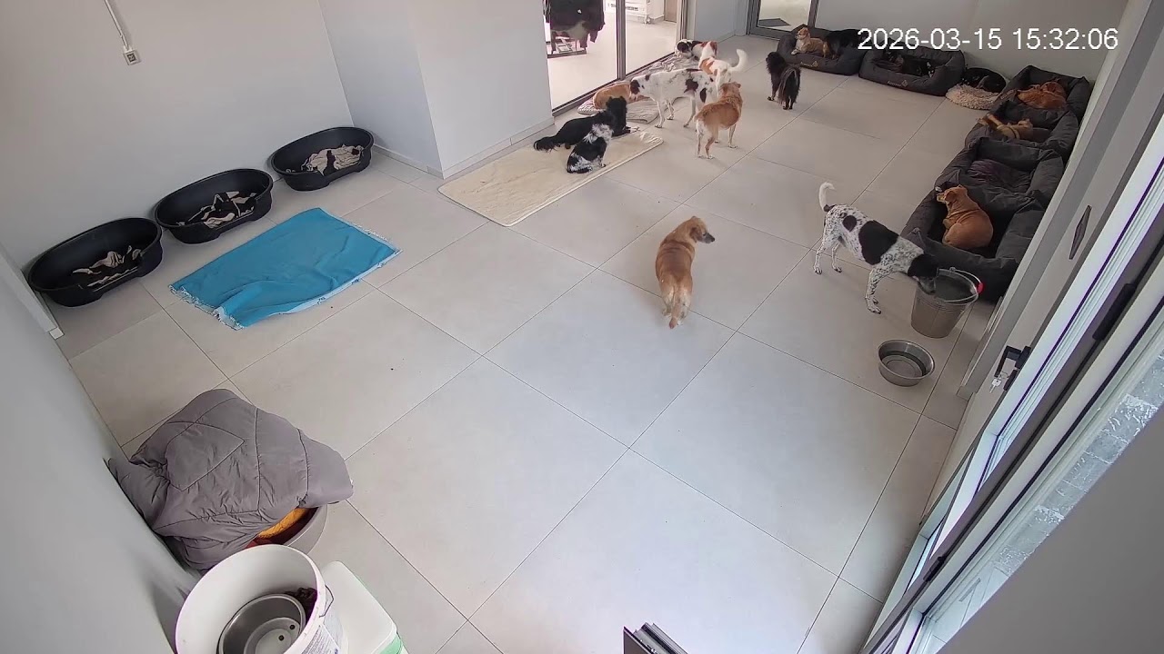 Sunday afternoon ,food time !