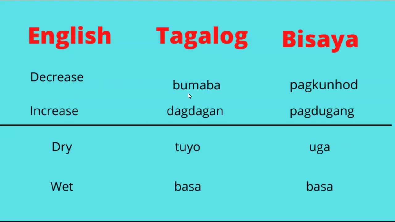 Opposite Words in Tagalog and Bisaya with English Translation | Learn Tagalog and Bisaya 101 PH