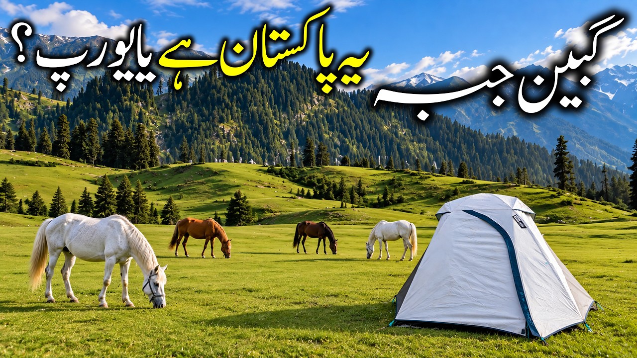 Gabin Jabba Pakistan 2026 🇵🇰 | The Unseen Top of Swat Valley | Complete Travel Guide