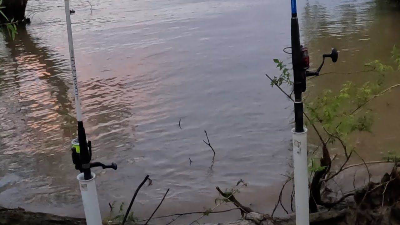 Are The Sharks Back? | Mississippi River | Catfish Fishing