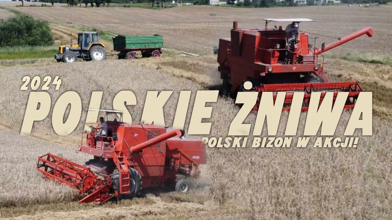 🇵🇱Polskie Żniwa 2024🇵🇱/BizonZ056😁 3x Ciągniki do odwozu🤯!!! Bizon nie dał rady😱?/GrOstrowscy!😍