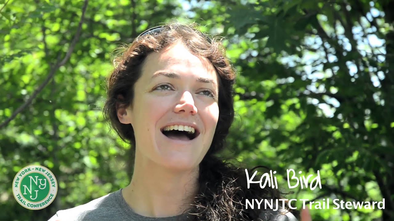 NYNJTC: WELCOME to Breakneck Ridge!