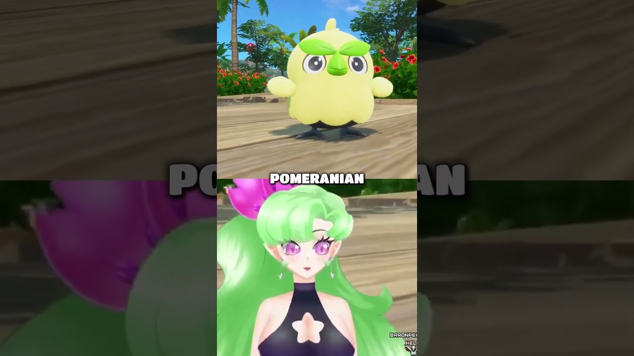 I LOVE the Winds and Waves starters 😭✨ #pokemonpresents #pokemonday  #pokemonwindsandwaves #Pombon