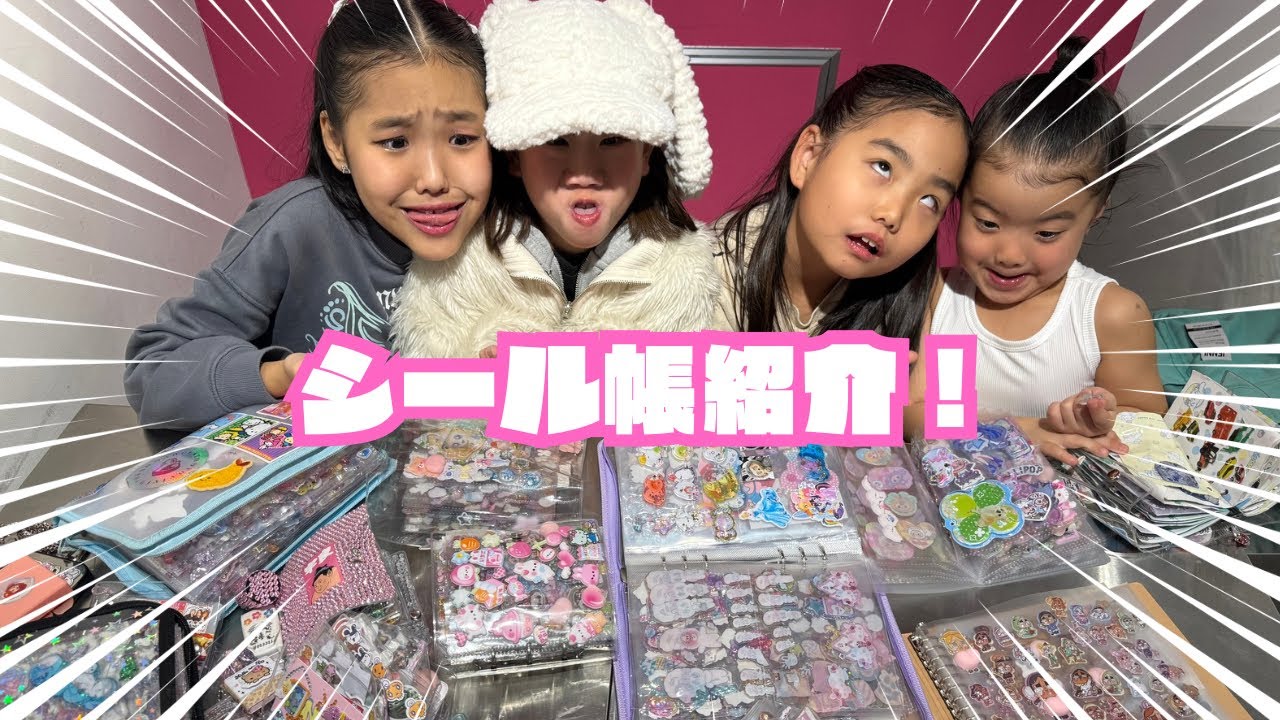 【シール帳】多すぎ⁉️大量のシール帳を紹介してくよ‼️ @SakuAliChannel 