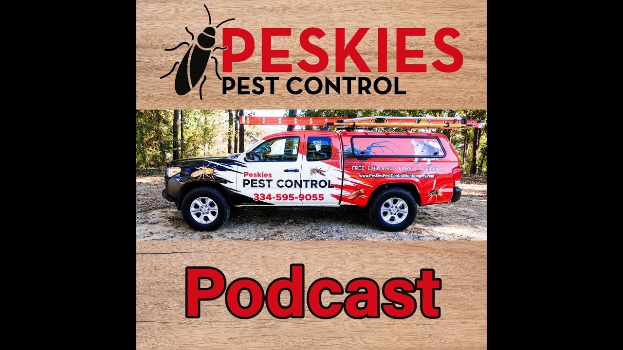 Detecting and Defeating Bed Bug Reinfestations in Montgomery Alabama!