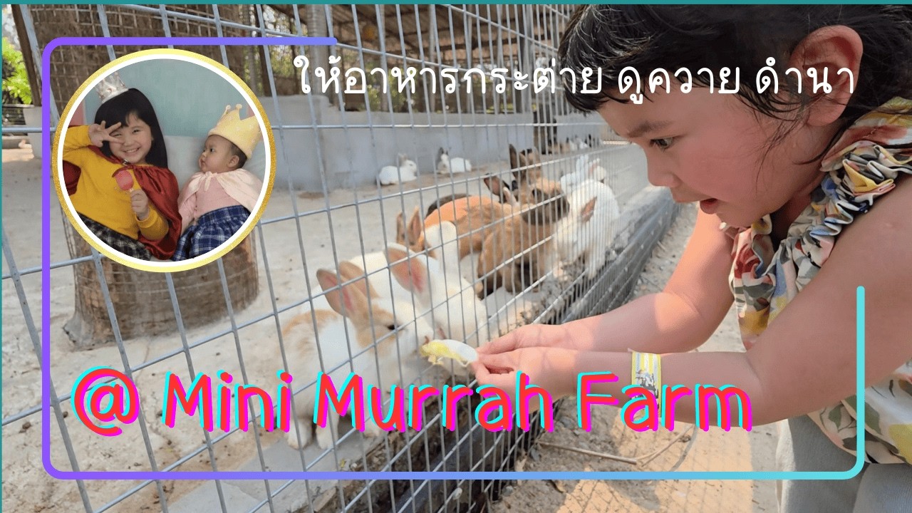 มินิมูร่าห์ Mini Murrah Farm ทำพิซซ่า ให้อาหารกระต่าย ดูควาย ไล่เป็ด ดำนา ปลูกข้าว | สองเธอร์ เจอนี่