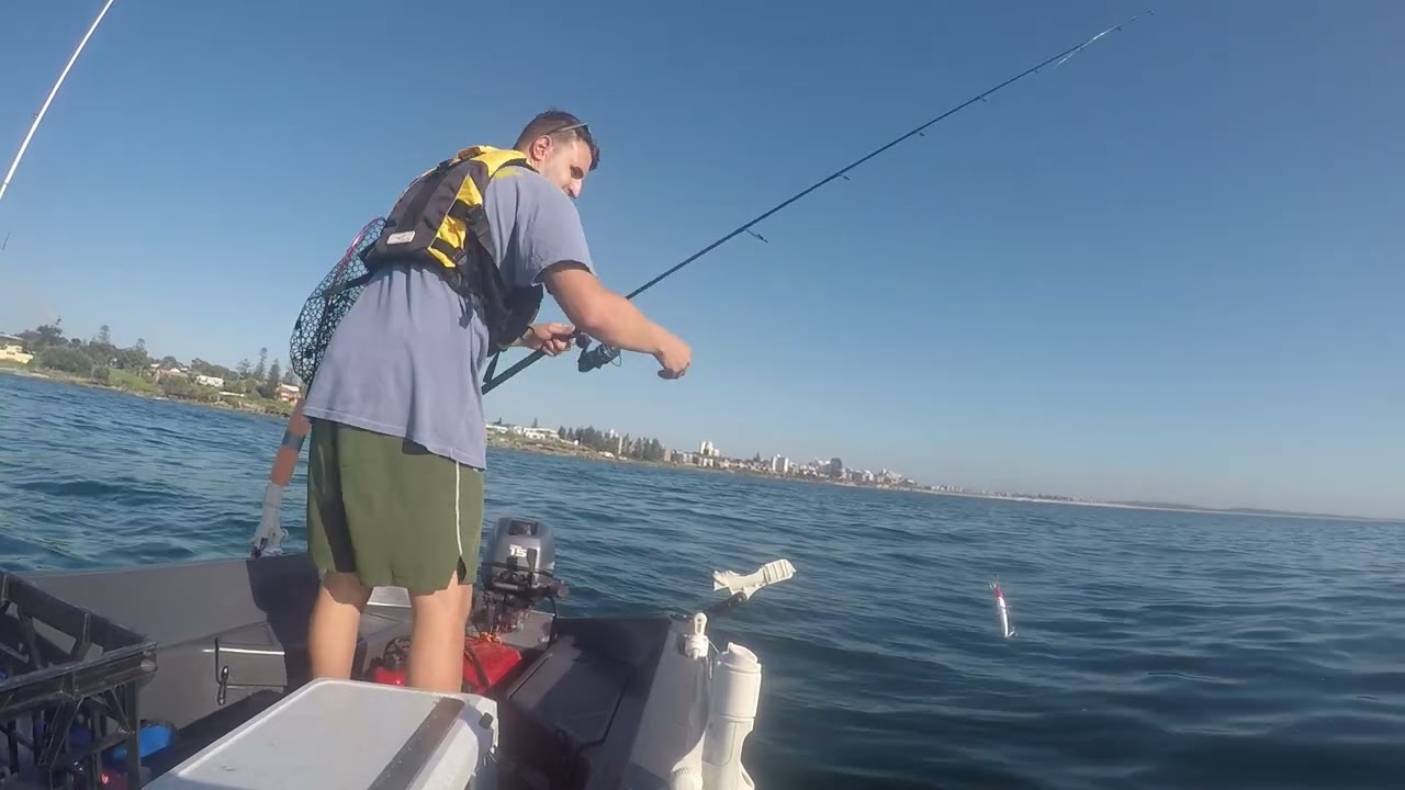 Polycraft Tuffy 300 Trolling Hardbody Lure - Cronulla 29/01