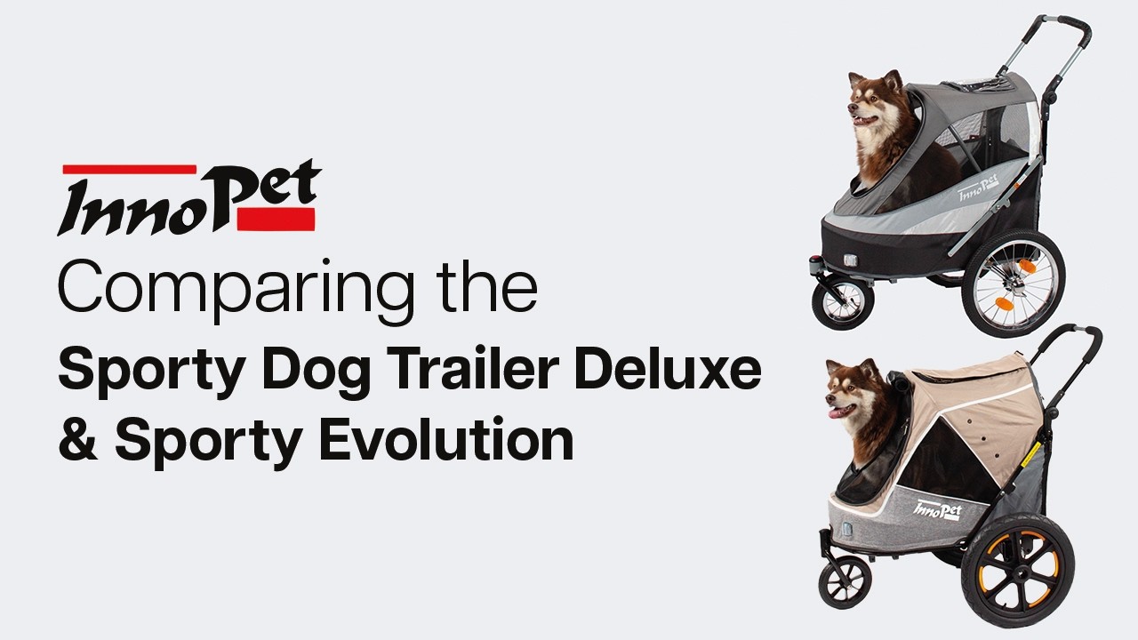 InnoPet Sporty Evolution vs Sporty Dog Trailer Deluxe - Which one is right for you?