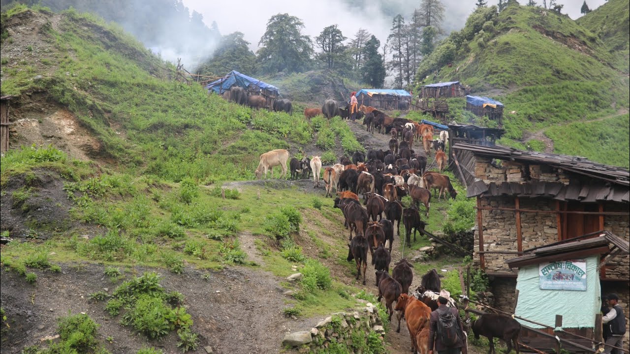 Finding Happiness in Nepal’s Mountain Villages | IamSuman