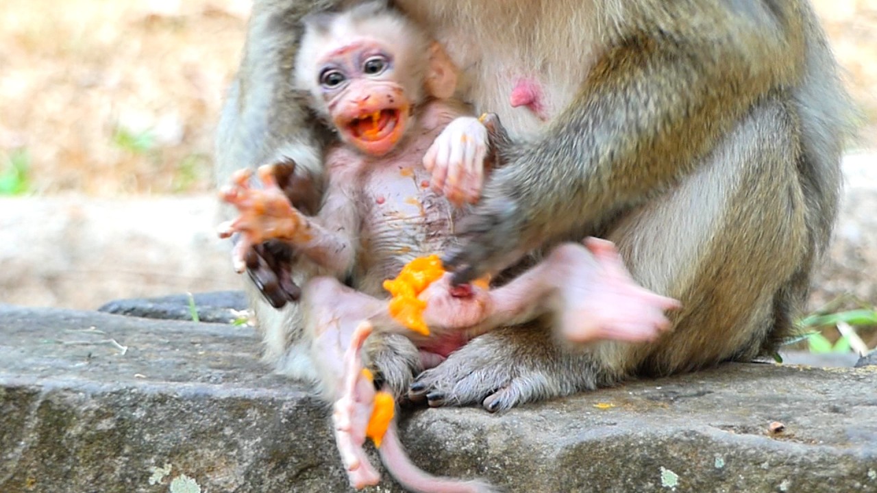 Update of newborn Boris Situation in Family Briana ! 001