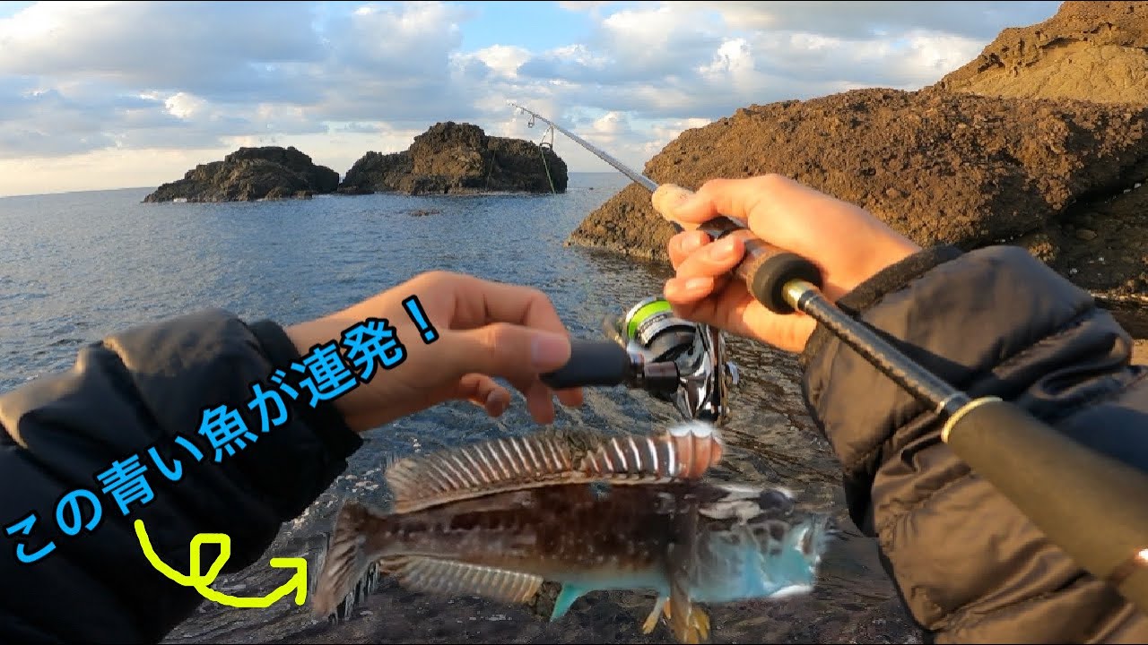【メバリング】磯でメバルを狙っていたらあの魚が連発した。