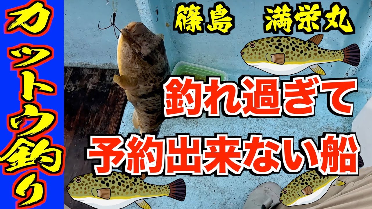 【カットウ釣り】デカヒガンフグだらけの篠島でカットウ釣り！釣れ過ぎて予約が取れない船宿さん