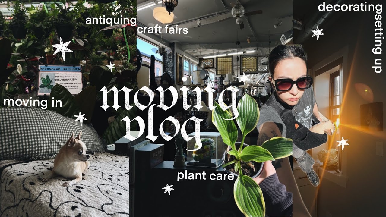 moving in vlog ✸ setting up, antiquing, plant care ➤014