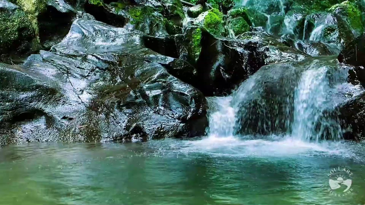 Soothing River Stream Sounds | Deep Sleep Relaxation Natural Water Ambience