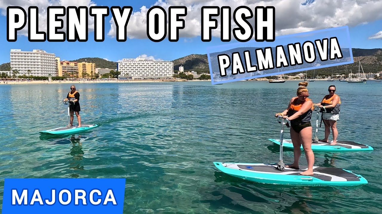 Sea Scooters And Something Fishy - Son Matias Beach - Palmanova - MALLORCA